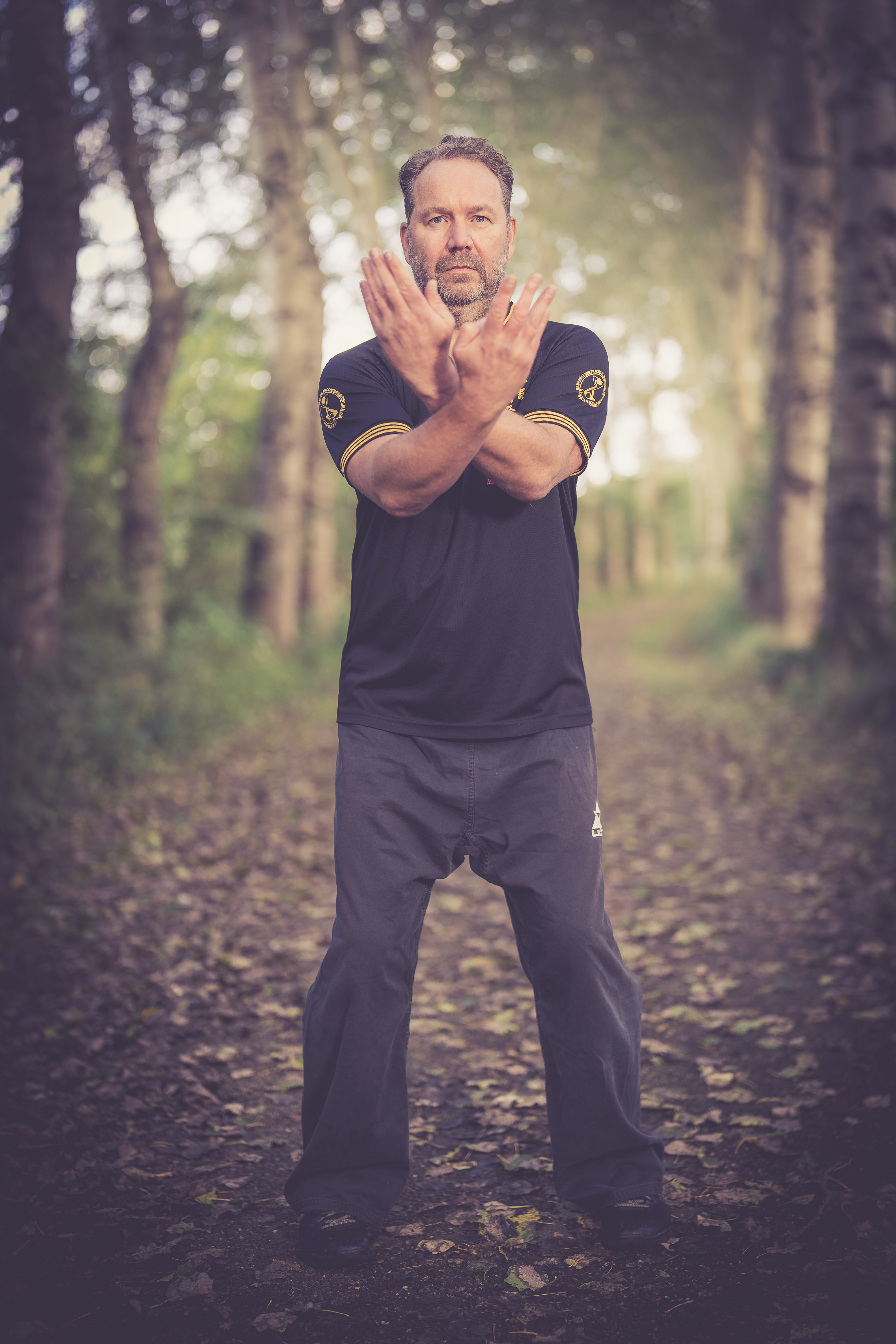 Wing Chun technieken